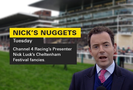 Peace And Co the call in wacky Champion Hurdle