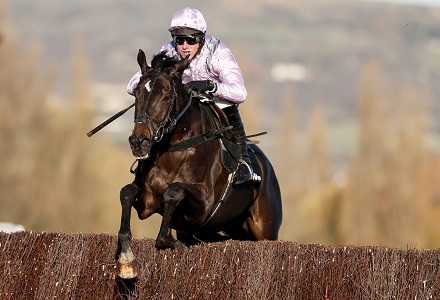 Andy Holding's Cheltenham Review