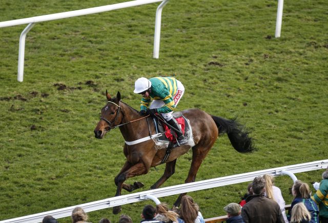 Ok Corral extends lead in National Hunt Chase market