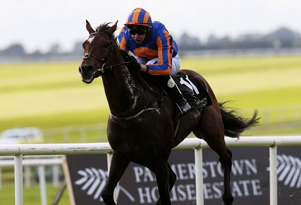 Chantilly Arc Card Betting Preview