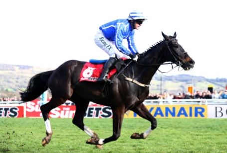 Second favourite Penhill out of Cheltenham Stayers Hurdle