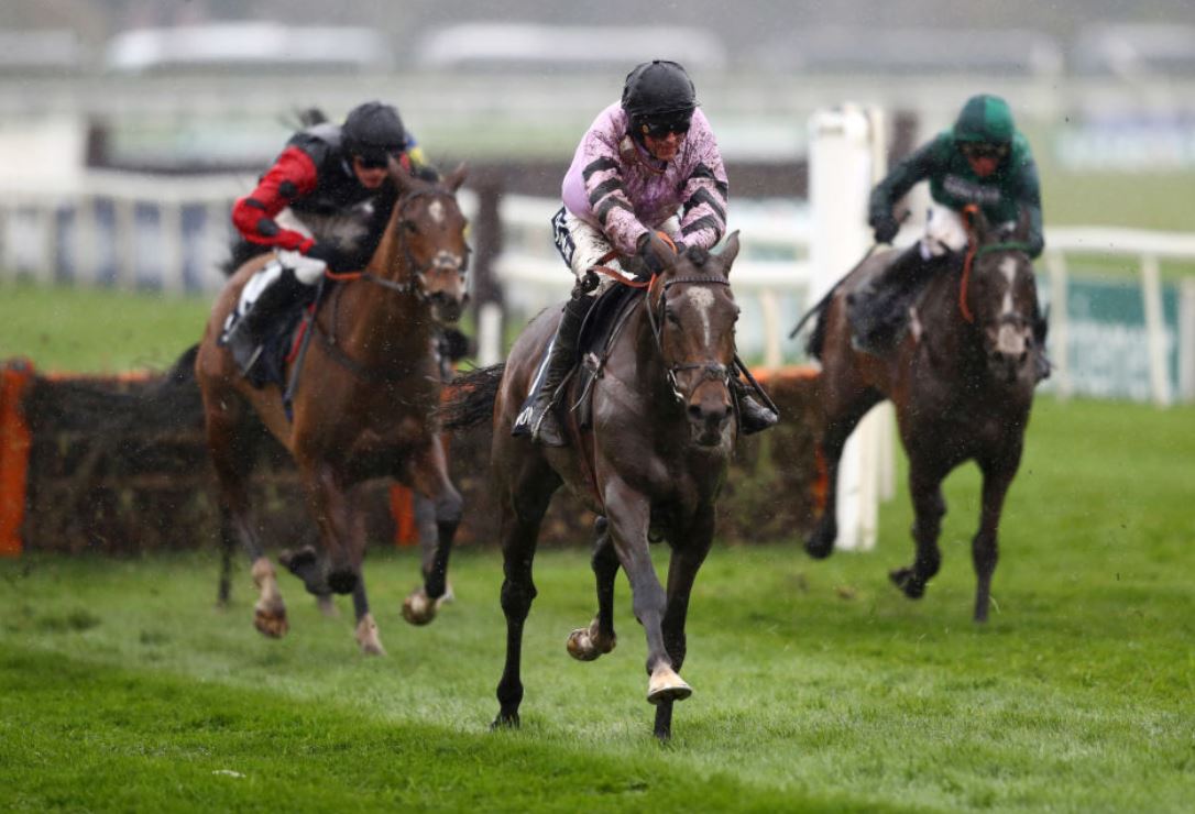 Pentland Hills cut for 2020 Champion Hurdle after battling Aintree victory 