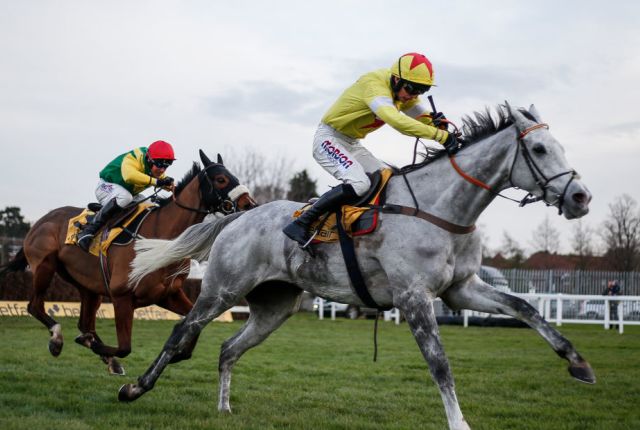 Politologue cut for Champion Chase following Tingle Creek victory