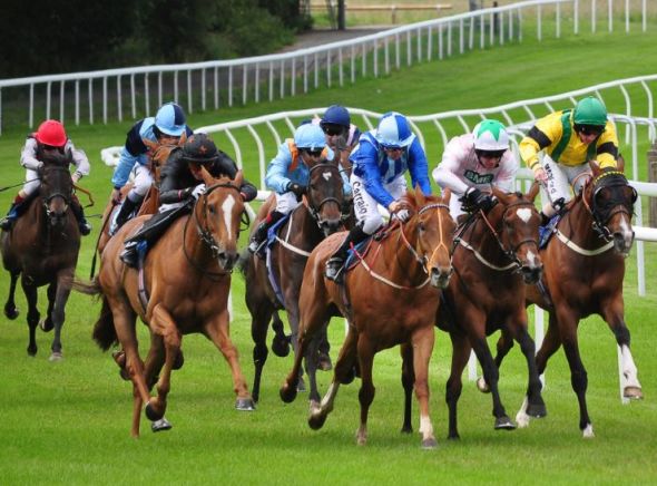 GYTO Sunday Value Tip