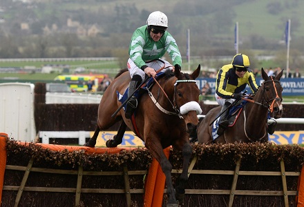 Presenting Percy sparks massive Gold Cup punt