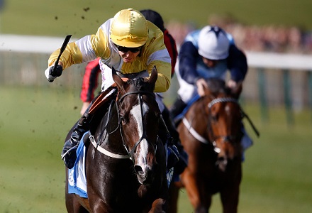 Money Horse: Friday's Most Backed Horse