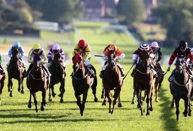 GYTO Sunday Value Tip