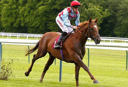 Investec Derby Betting Preview