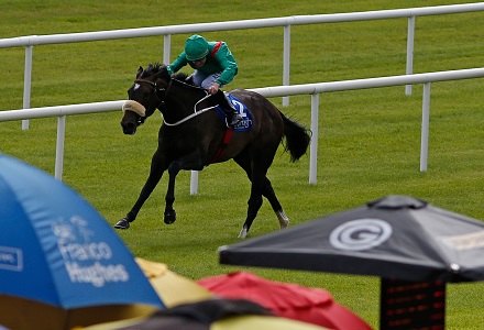 Irish 1000 Guineas Betting Tips & Preview