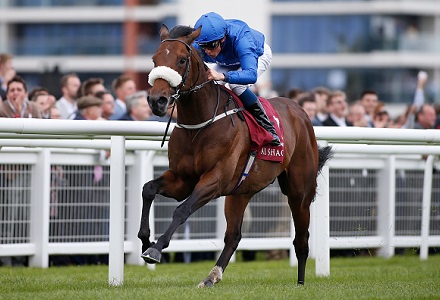 Queen Anne Stakes Betting Update