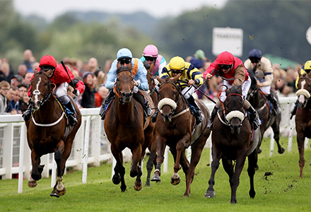 UK Horse Racing Tips: Ripon