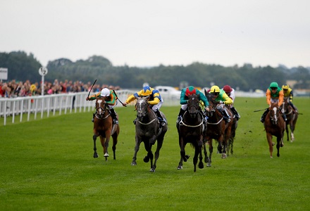 GYTO Saturday Value Tip