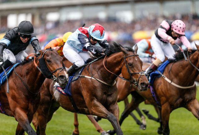Andy Holding's Gigaset International Handicap Preview