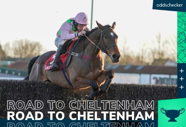 Royale Pagaille slashed to Cheltenham National Hunt Chase favourite