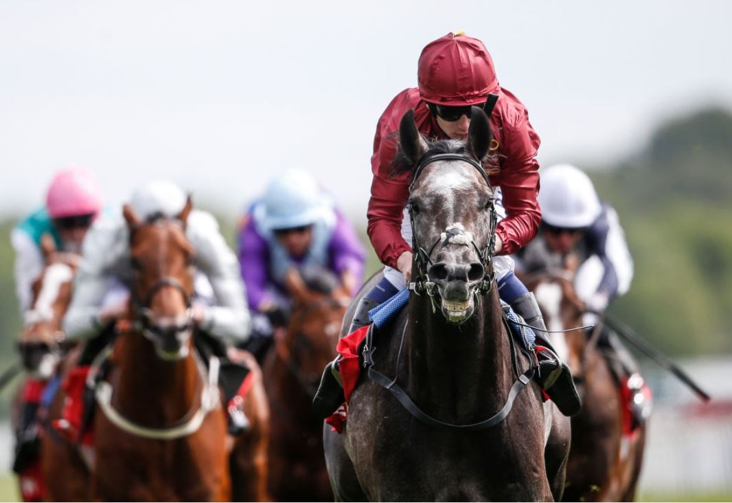 Roaring Lion on the Derby prowl as he wins the Dante Stakes Oddschecker