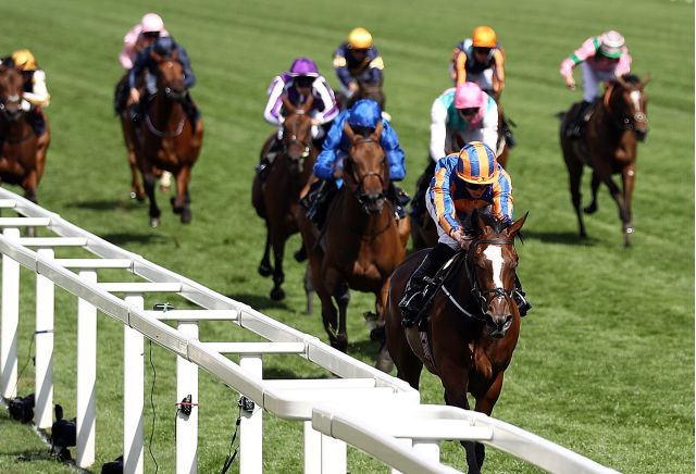 The three most backed horses on day five of Royal Ascot