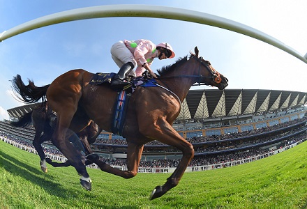 Royal Ascot Day 2 ITV Racing Tips & Preview