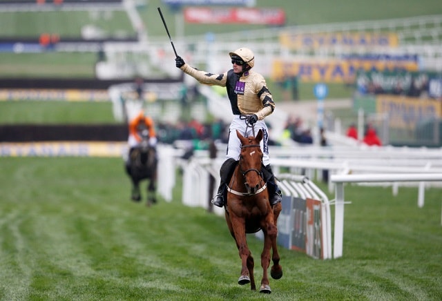 Ruby Walsh returning victory prompts betting spree for Cheltenham Top Jockey