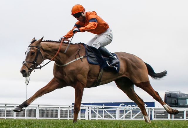 Cheltenham Day Three Money Horse