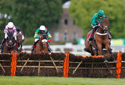 Money Horse: Saturday's Most Backed Horse
