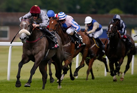 Money Horse: Wednesday's Most Backed Horse