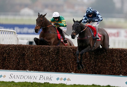 Money Horse: Saturday's Most Backed Horse