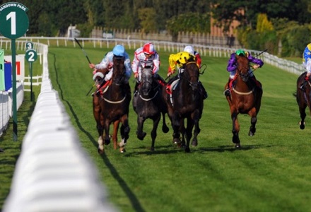 Money Horse: Monday's Most Backed Horse