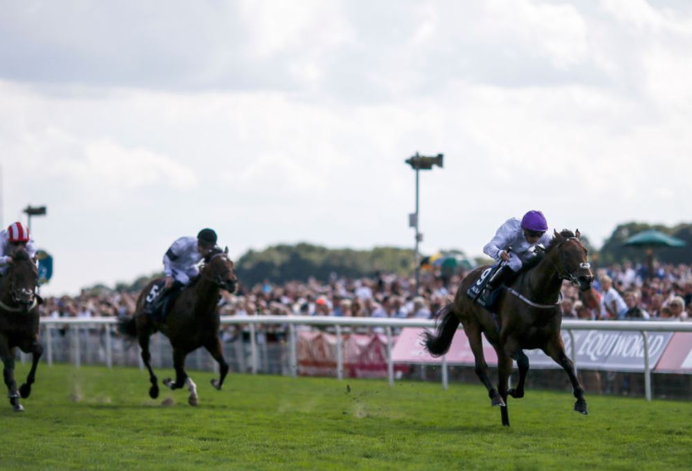 Sands Of Mali well-backed for Commonwealth Cup glory after Haydock success
