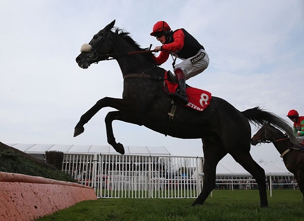 Nick Luck: Saphir Du Rheu can rule supreme in Grand National