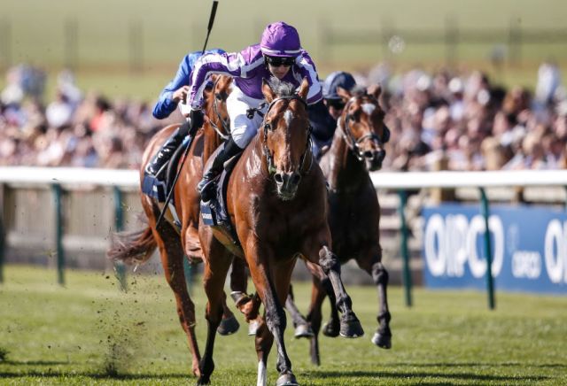 Saxon Warrior on the drift after being handed tough draw in the Epsom Derby