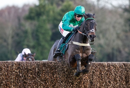 Cheltenham Focus: Arkle betting preview