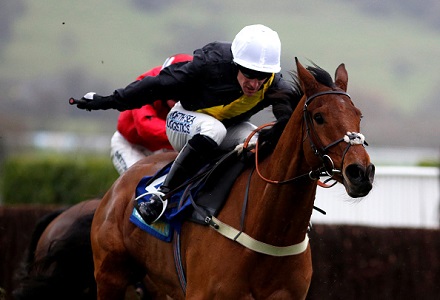 Midnight enters Festival notebook