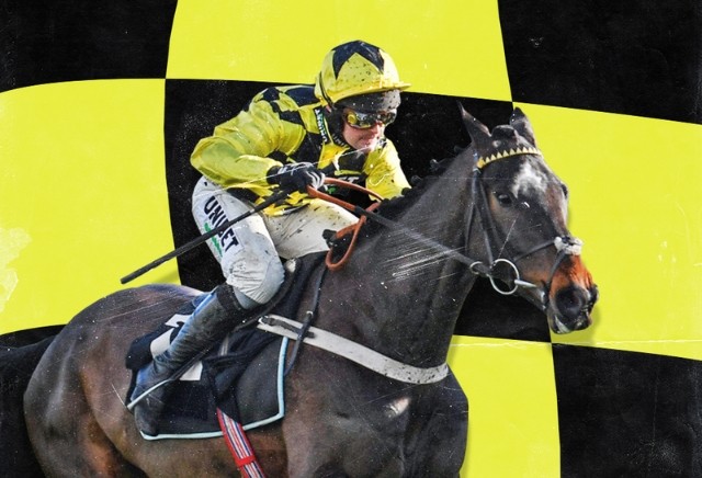 Cheltenham Festival: The horses experts say to avoid this week