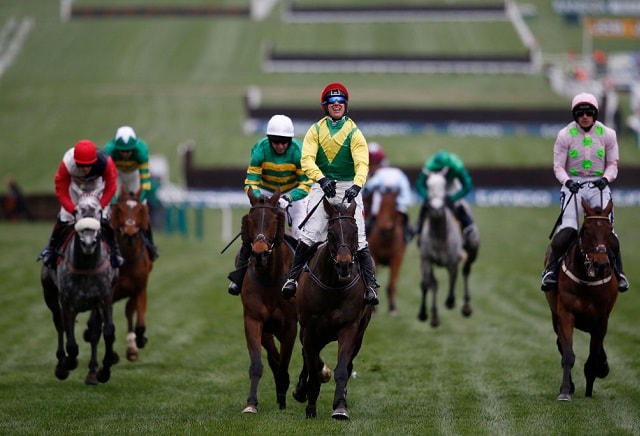 Minella Rocco shortens for the National after Gold Cup place