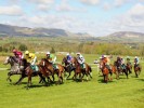 UK Horse Racing Tips: Sligo