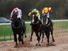 UK Horse Racing Tips: Southwell