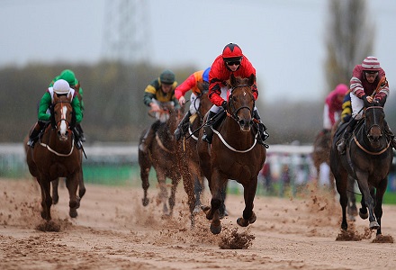 Money Horse: Thursday's Most Backed Horse