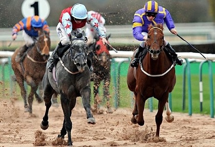 Money Horse: Wednesday's Most Backed Horse