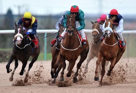 Money Horse: Tuesday's Most Backed Horse
