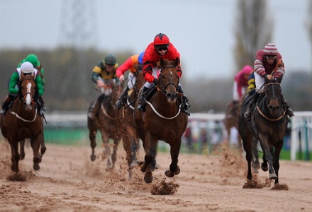 Exeter Southwell Racing Tips From Oddschecker