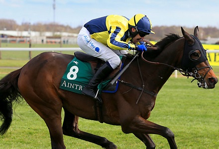 A View From The Rails: Starchitect a Cesarewitch cracker