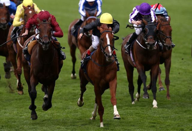 Gosden's Yorkshire Cup winner on the hunt for Gold Cup glory