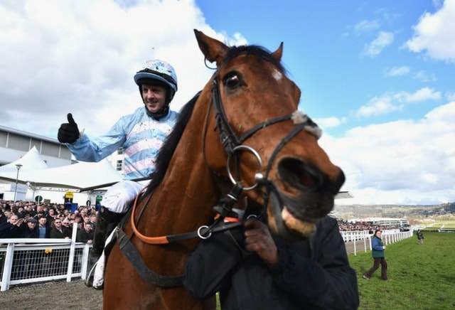 Summerville Boy hits bookies hard after Supreme victory