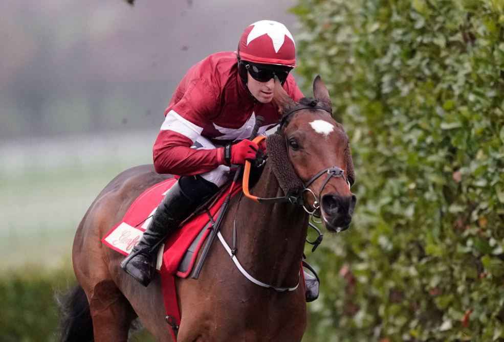 Tiger Roll slashed for Cheltenham & Grand National success after winning at HUGE odds