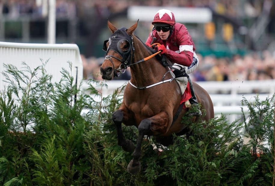 How low does Tiger Roll go - Bookies price up his potential Grand National SP