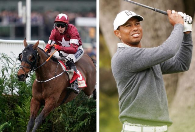 Tiger, meet Tiger - Bookie prices up a Roll & Woods double