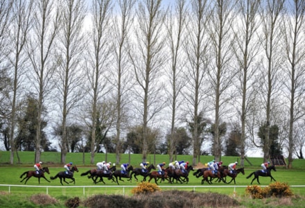 UK Horse Racing Tips: Tipperary