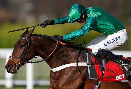 Ante-post bettors in agony as Top Notch is ruled out of Cheltenham