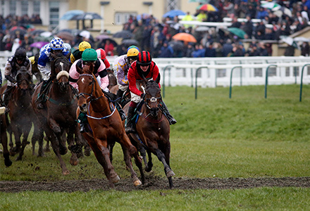 Odds slashed on heavy ground on first day of Cheltenham following severe weather backlash