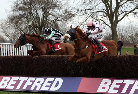 Money Horse: Thursday's Most Backed Horse